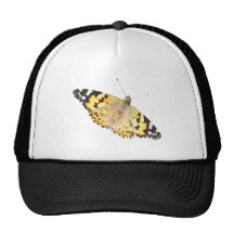 Schmetterling butterfly kult mützen