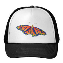 Schmetterling butterfly kultcaps