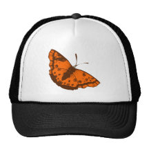 Schmetterling butterfly retrokappe