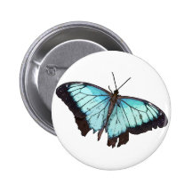 Schmetterling Button