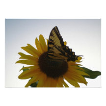 Schmetterling, der an der Dämmerung stillsteht Einladungskarte