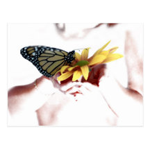 Schmetterling in der Hand Postkarte