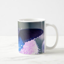 Schmetterling Kaffeehaferl