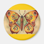 Schmetterling Kühlschrankmagnete