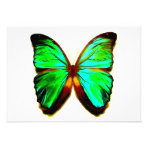 Schmetterling lädt - Schmetterlings-Einladung ein