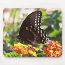 Schmetterling Mousepad