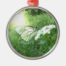Schmetterling Ornamente