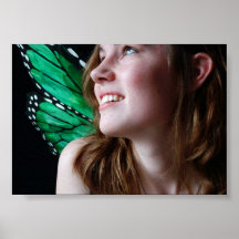 Schmetterling Plakate