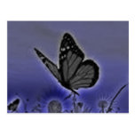 SCHMETTERLING POSTKARTEN
