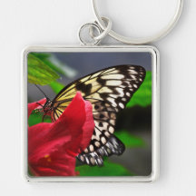 Schmetterling Schlüsselbänder