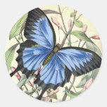 Schmetterling Sticker