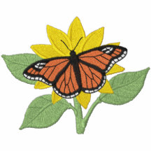 Schmetterling und Blume