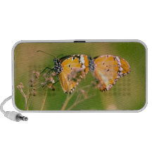 Schmetterlinge iPhone Lautsprecher