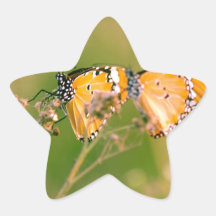 Schmetterlinge Stickers
