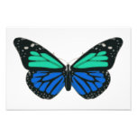 Schmetterlings-Clipart des blauen Grüns Kunstphoto