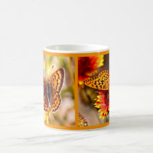 Schmetterlings-Picknick-Sammlung - Orange! Kaffeetasse