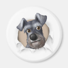 Schnauzer, der heraus sprengt kühlschrankmagnet