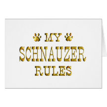 Schnauzer ordnet Gold an Karte