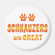 Schnauzers sind groß magnete