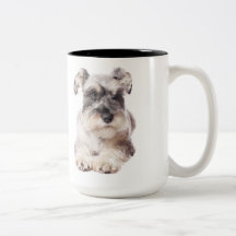 Schnauzerwelpen-Kaffeetasse