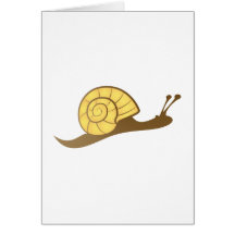 Schnecke snail karten
