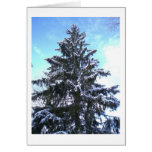 Schnee-Baum Grußkarten