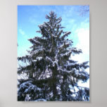 Schnee bedeckte Baum Posterdruck