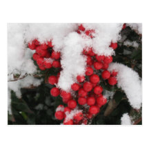 Schnee bedeckte Stechpalmen-Beeren-Postkarte