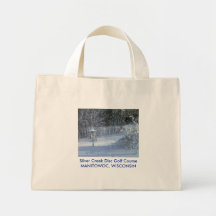 SCHNEE-DISC-GOLF Tasche mit Disc im Schnee