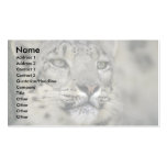 Schnee-Leopard Visitenkarten