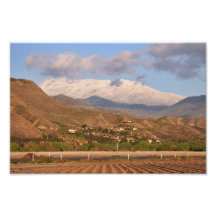Schnee-mit einer Kappe bedeckter Berg San Jacinto Photodruck