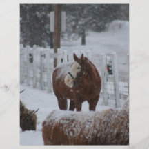 Schnee-Pferd, frohe Weihnachten! Flyerdruck