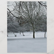 Schnee-Szene Flyerdesign