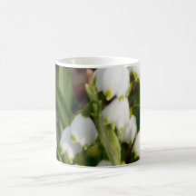 Schneeflocken (Leucojum Aestivum) Kaffee Tassen