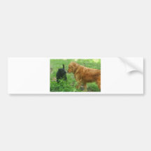 Schnelle Freunde Auto Sticker