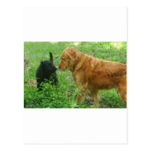 Schnelle Freunde Postkarte
