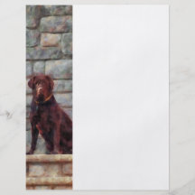 Schokolade Labrador auf Portal Flyerdruck