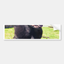 Schokolade Labrador, das im Garten auf einem Bri s Autosticker