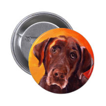 Schokolade Labrador retriever Anstecknadelbutton