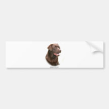 Schokolade Labrador retriever Auto Sticker