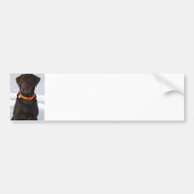 Schokoladen-Labrador-Autoaufkleber