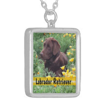 Schokoladen-Labrador im Kalifornien-Mohnblumen-Fle Amuletten