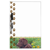 Schokoladen-Labrador im Kalifornien-Mohnblumen-Fle Memoboard