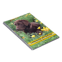 Schokoladen-Labrador im Kalifornien-Mohnblumen-Fle Spiral Notizbuch
