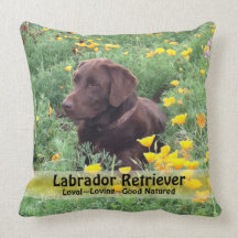 Schokoladen-Labrador in der Kalifornien-Mohnblumen Kissen