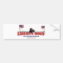 Schokoladen-Labrador mit Flaggen Auto Sticker