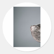 Schokoladen-Labradors Nase Sticker