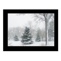 Schöne Blizzard-Postkarte