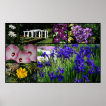 Schöne Blumen Plakatdrucke