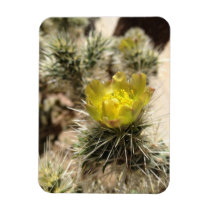 Schöne gelbe Blume magnete